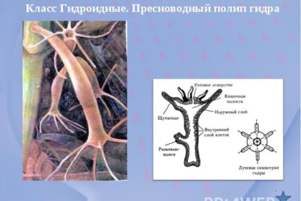 Кракен даркнет сайт на русском