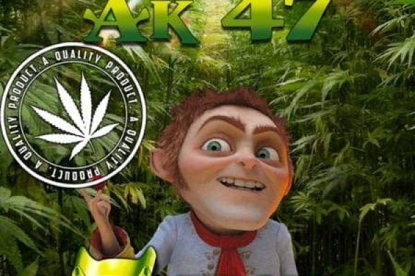 Кракен сайт дарк нет