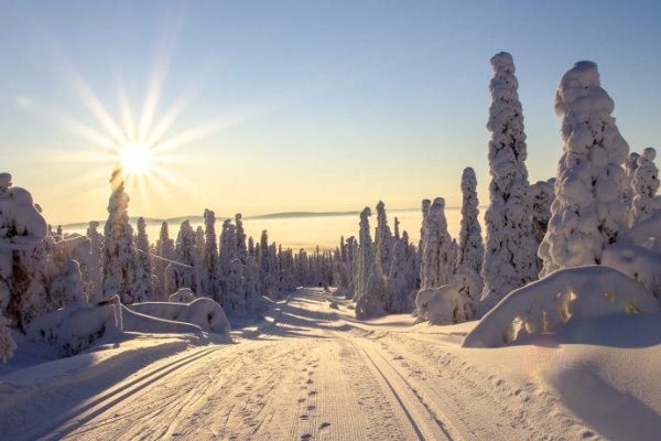 Кракен даркмаркет плейс