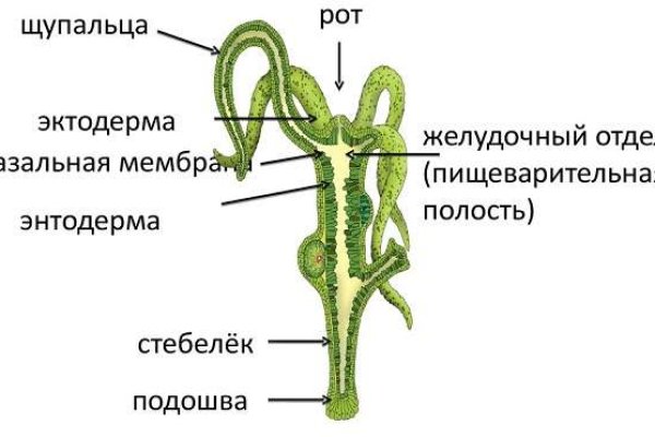 Магазин кракен даркнет сайт